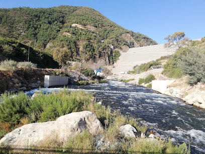 Central hidroeléctrica embalse ancoa