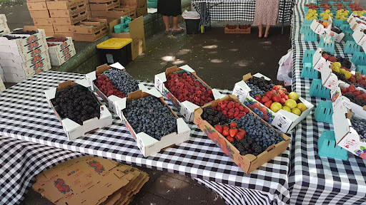 Park «South Park Blocks», reviews and photos, SW Park Ave, Portland, OR 97204, USA