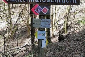 Hüttlenwaldschlucht image