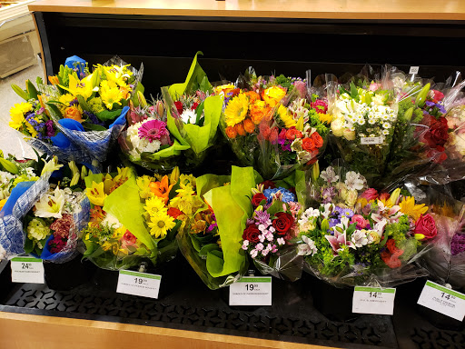 Shopping Mall «Northside Mall», reviews and photos, Ross Clark Cir & Hwy 231, Dothan, AL 36303, USA