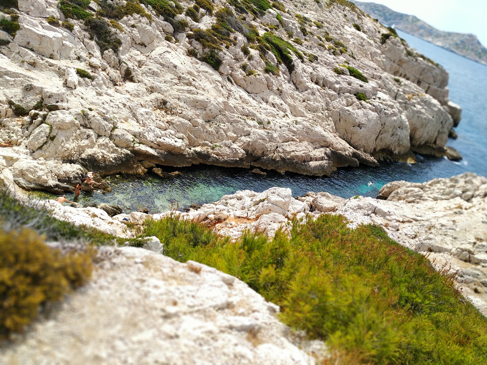 Calanque de la Mounine'in fotoğrafı küçük koy ile birlikte