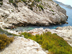 Calanque de la Mounine'in fotoğrafı küçük koy ile birlikte