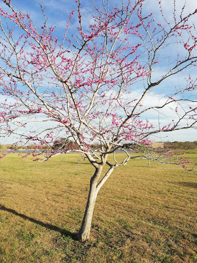 Park «Millers Pond Park», reviews and photos, 6175 Old Pearsall Rd, San Antonio, TX 78242, USA