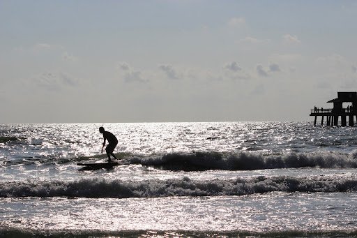 Surf Shop «Old Naples Surf Shop», reviews and photos, 1311 3rd St S, Naples, FL 34102, USA