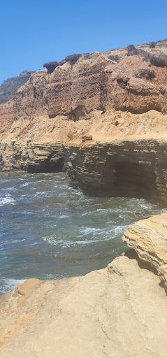 National Park «Point Loma Tide Pools», reviews and photos, 1800 Cabrillo Memorial Drive, San Diego, CA 92106, USA