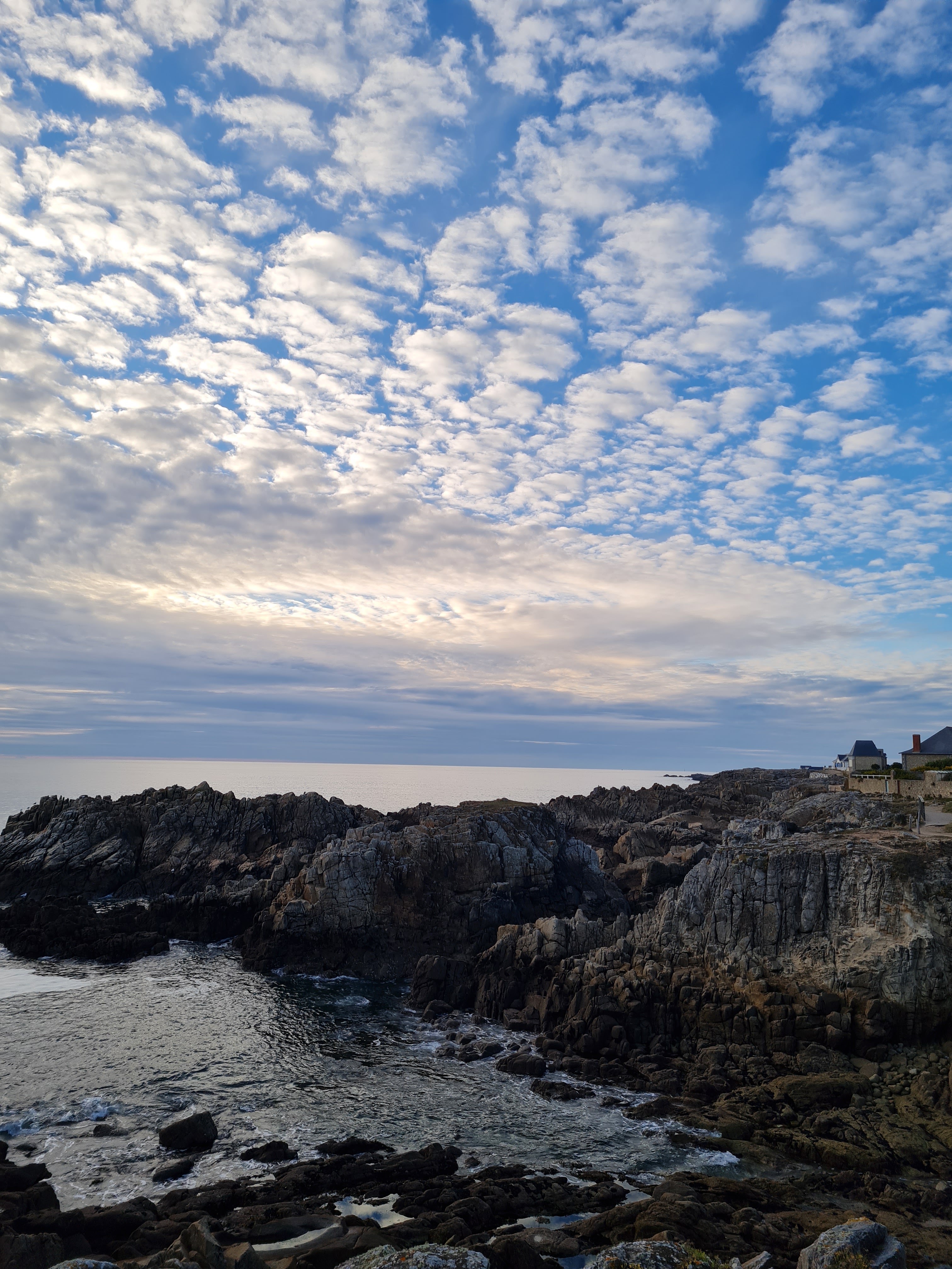 Photo n° 3 de l'avis de Maïnera. fait le 22/04/2019 à 15:24