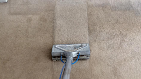 Ascent Carpet Cleaning