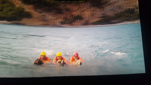 Natural History Museum «Fernbank Museum of Natural History», reviews and photos, 767 Clifton Rd, Atlanta, GA 30307, USA