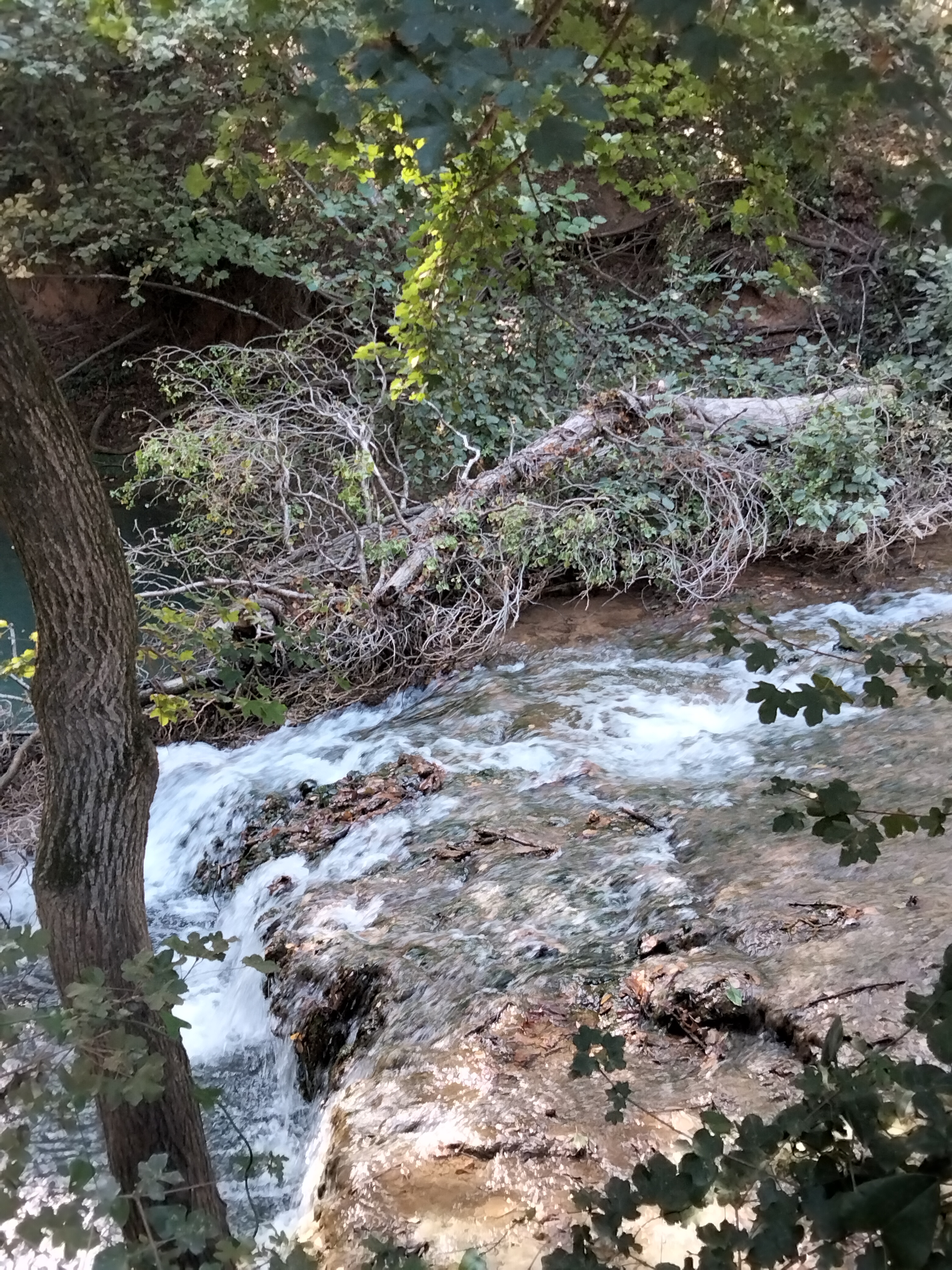 Photo n° 10 de l'avis de michèle. fait le 08/10/2023 à 17:21