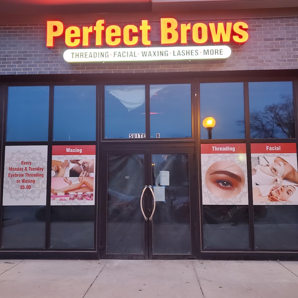 PERFECT BROWS 61820