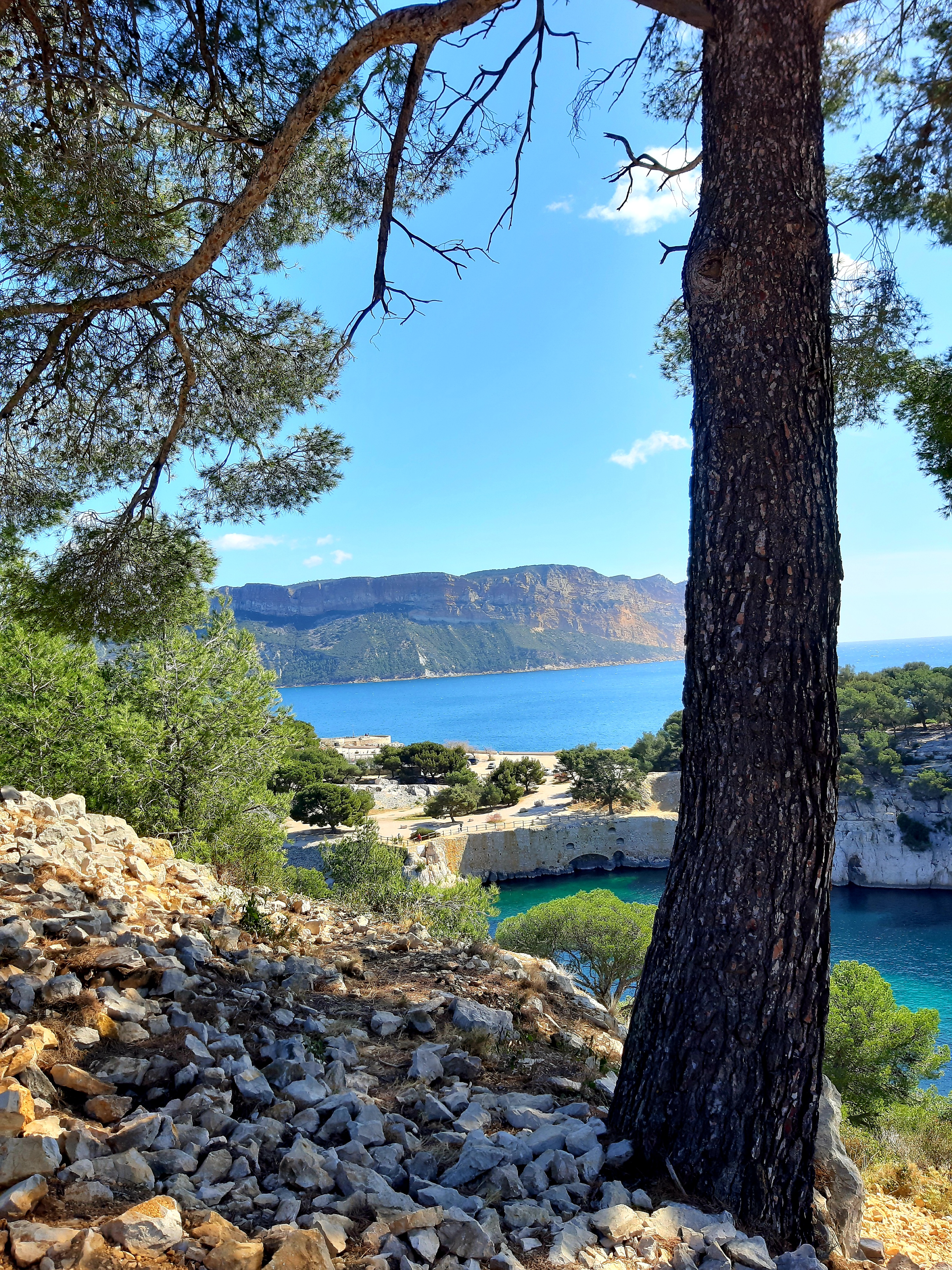 Photo n° 13 de l'avis de Islas.a fait le 27/03/2021 à 17:41