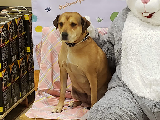 Pet Supply Store «PetSmart», reviews and photos, 2818 S Louise Ave, Sioux Falls, SD 57106, USA