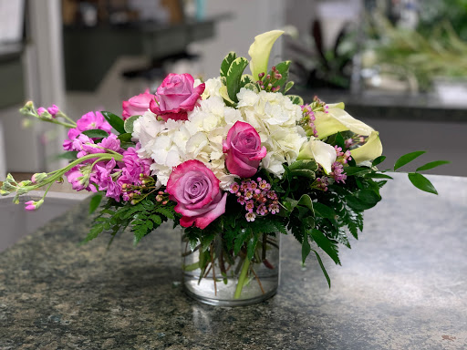 Florist «Hassell Florist», reviews and photos, 1679 Drew St, Clearwater, FL 33755, USA