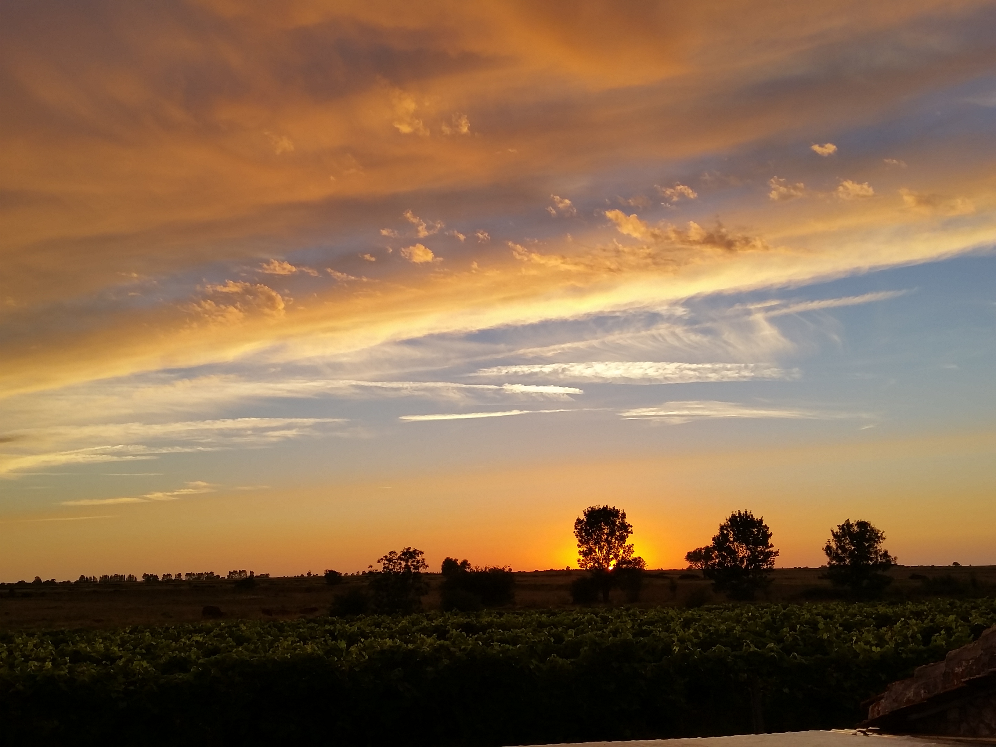 Photo n° 1 de l'avis de Roelie.o fait le 05/08/2017 à 21:55