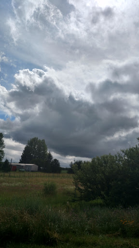 Winery «Walloon Lake Winery», reviews and photos, 3149 Intertown Rd, Petoskey, MI 49770, USA