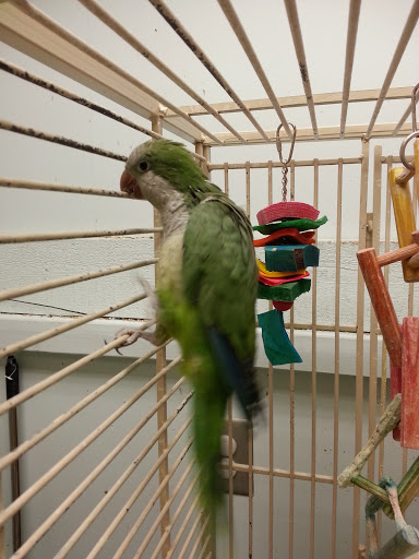 Pet Supply Store «Petco Animal Supplies», reviews and photos, 438 Southbridge St, Auburn, MA 01501, USA