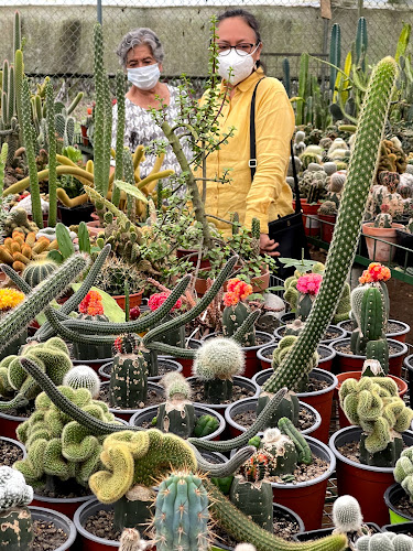 Vivero, orquideas y cactus de Liz - Tienda