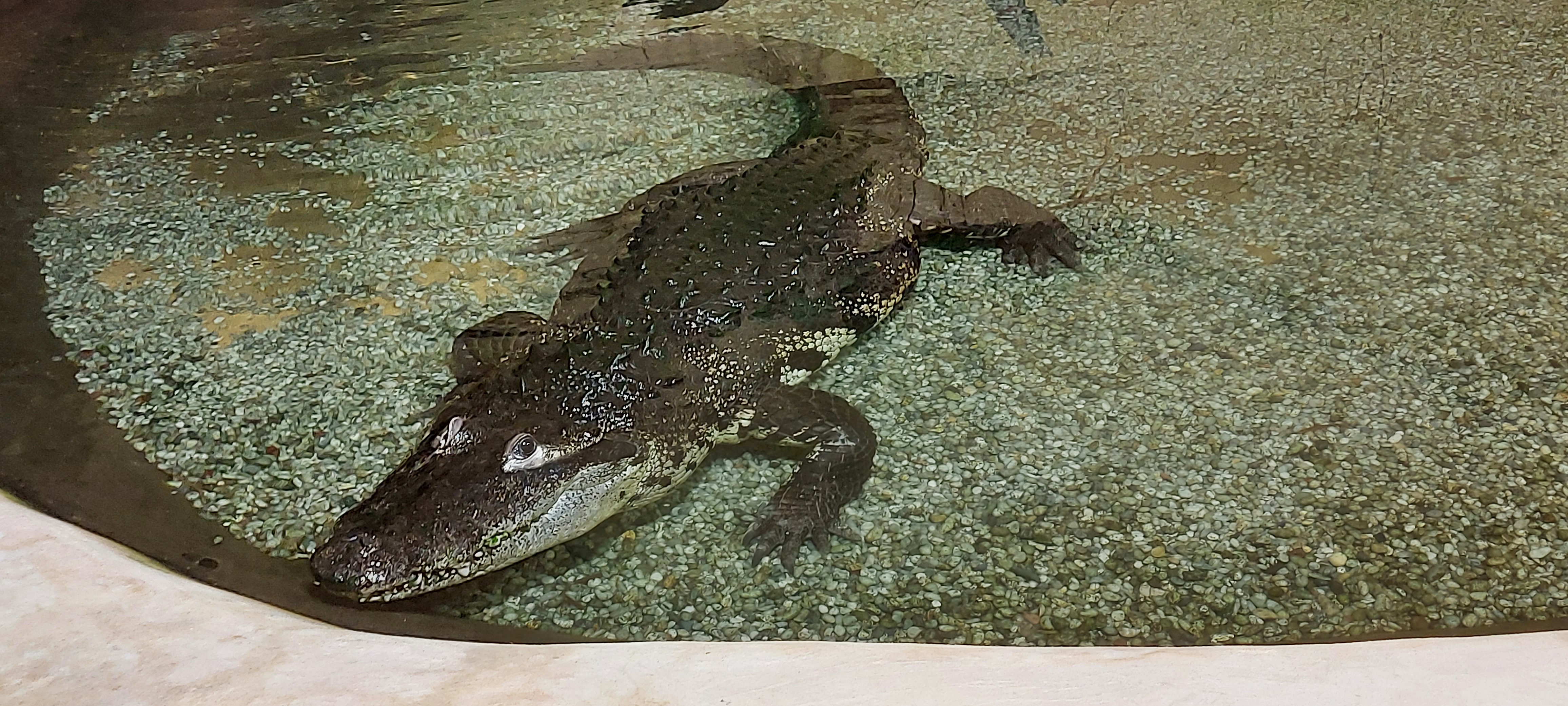 Photo n° 12 de l'avis de Sandrine.o fait le 11/07/2022 à 19:35