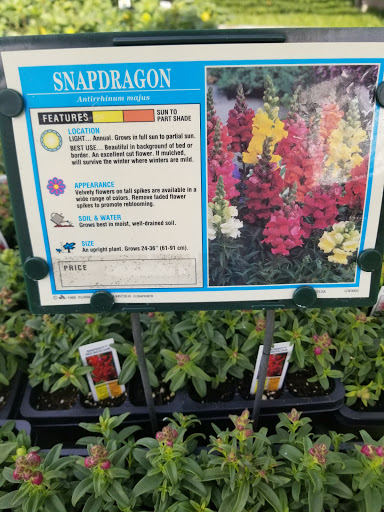 Florist «Lyndhurst Florist», reviews and photos, 5268 Mayfield Rd, Lyndhurst, OH 44124, USA