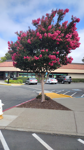 Shopping Mall «Pinole Vista Shopping Center», reviews and photos, 1440 Fitzgerald Dr, Pinole, CA 94564, USA