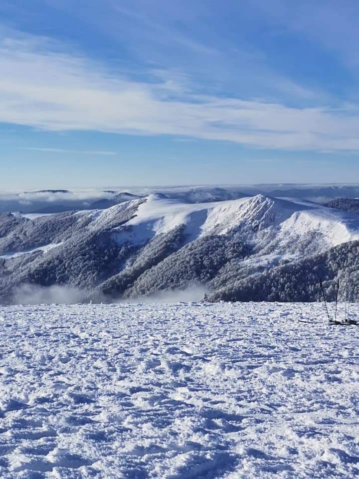 Photo n° 1 de l'avis de nils.i fait le 29/01/2023 à 16:34