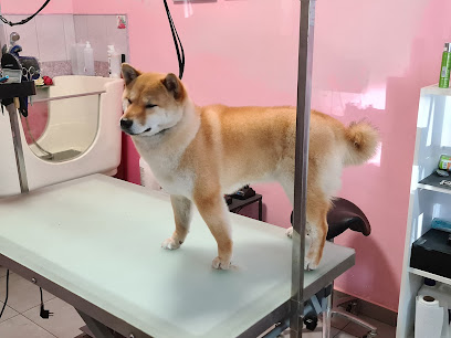 Груминг салон и зоомагазин Happy Dog | Подстригване на куче Пазарджик | Почистване на зъби | Рязане на нокти | Къпане