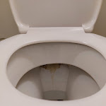 Photo n° 5 de l'avis de Sylvain.. fait le 19/06/2023 à 10:54 pour Hôtel Restaurant Campanile Chanas à Chanas