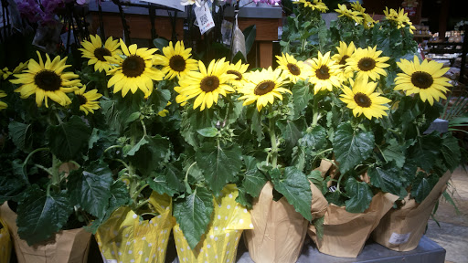 Supermarket «Giant Eagle Supermarket», reviews and photos, 2390 W Prospect Rd, Ashtabula, OH 44004, USA
