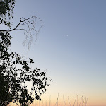 Photo n°1 de l'avis de Jacqueline.a fait le 24/06/2022 à 07:18 sur le  Fischerstübchen Mardorf à Neustadt am Rübenberge