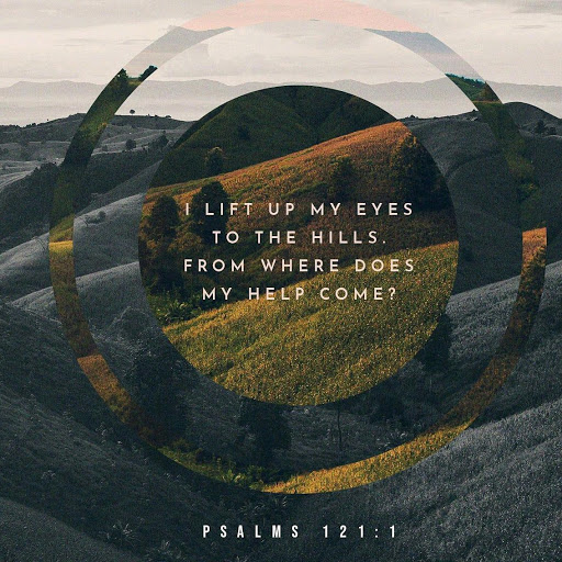 Thrift Store «Second Blessing Thrift Store Inc.», reviews and photos, 2323 Central Ave, Wichita, KS 67214, USA