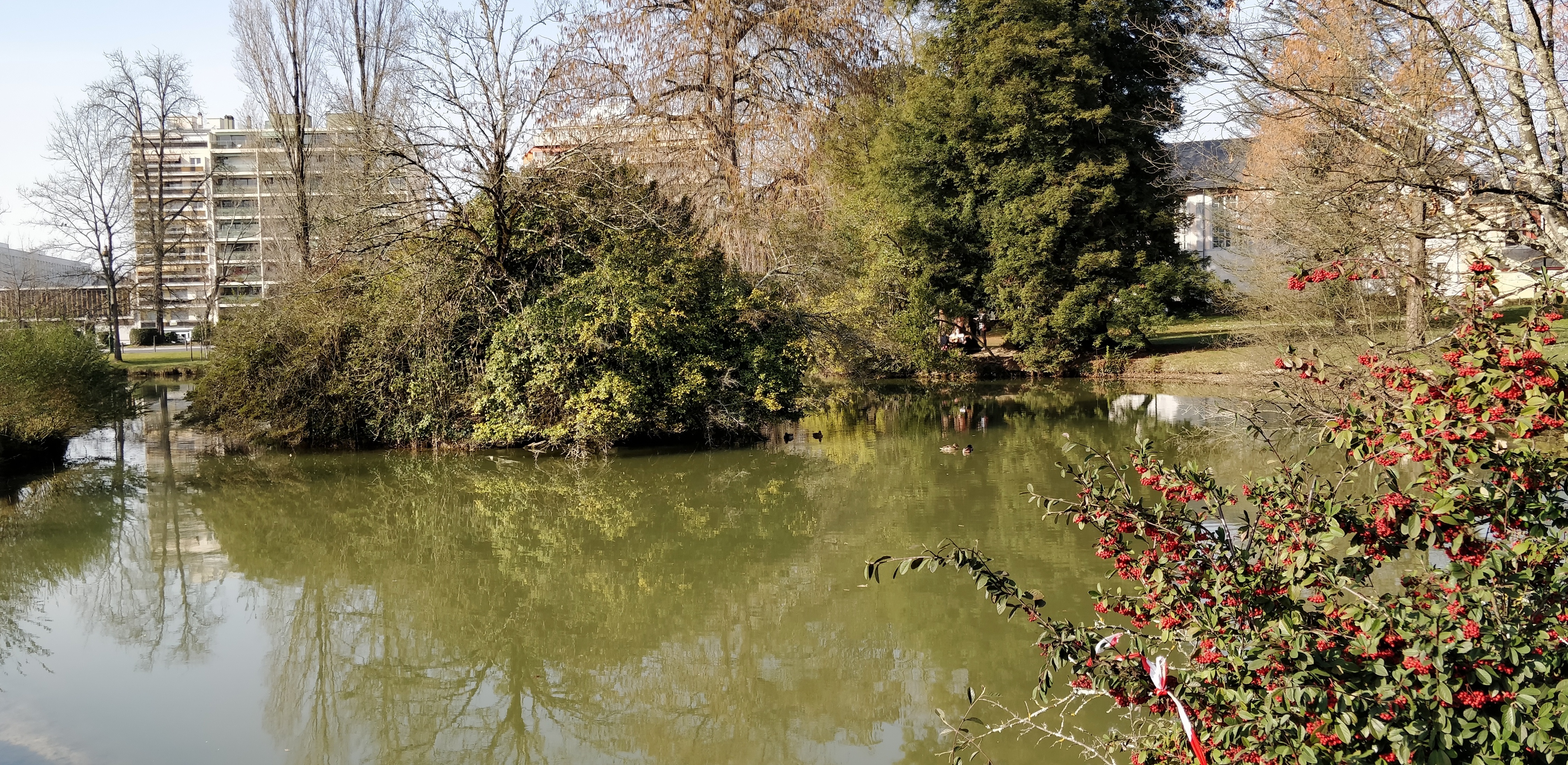 Photo n° 3 de l'avis de vuesur.e fait le 21/02/2019 à 17:05