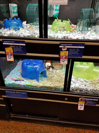 Pet Supply Store «PetSmart», reviews and photos, 2858 Willamette St, Eugene, OR 97405, USA
