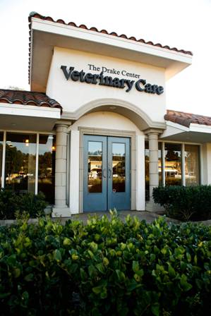 Katie Tiglio, DVM at The Drake Center for Veterinary Care image