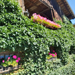 Photo n°2 de l'avis de Andrea.o fait le 20/07/2020 à 19:17 sur le  Gasthof Oberlechner à Velloi