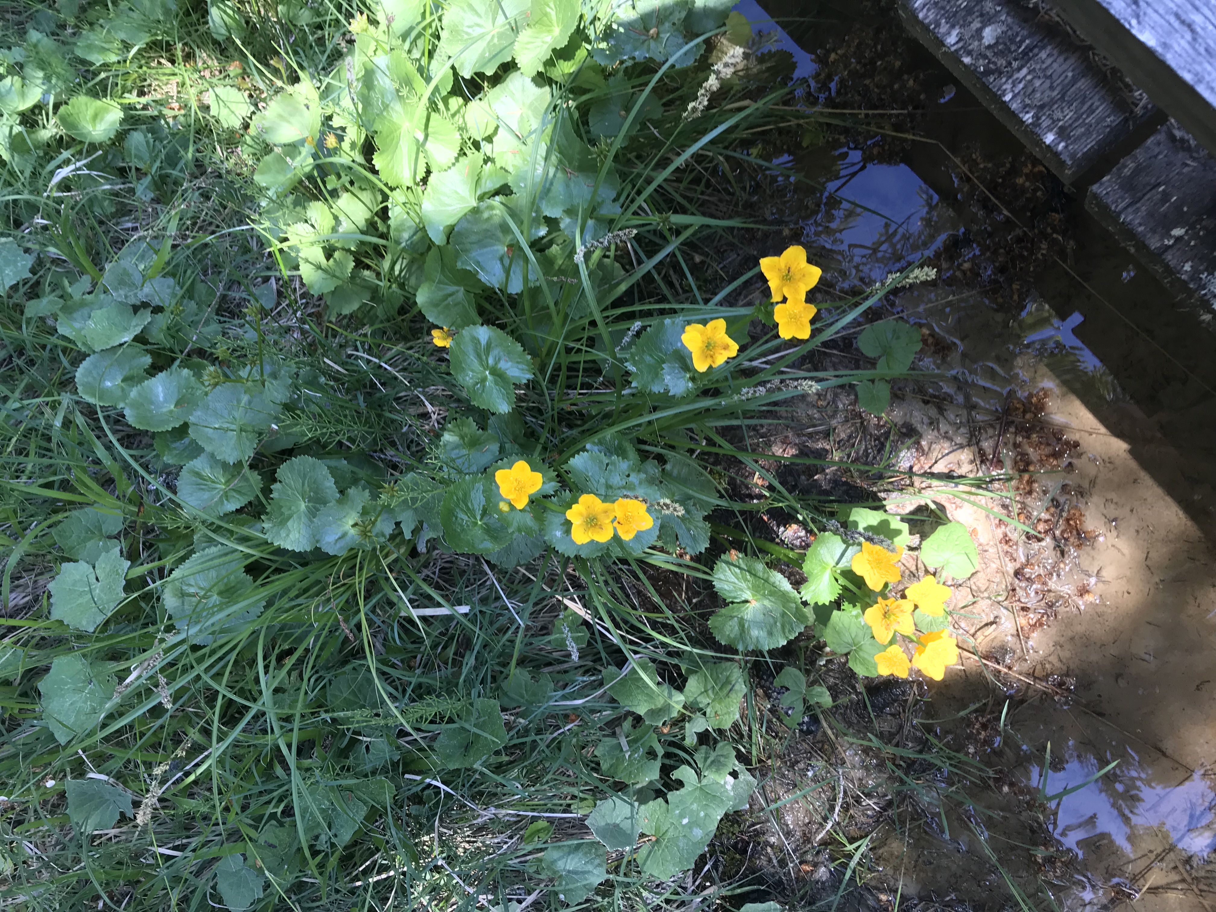 Photo n° 14 de l'avis de Patricia.e fait le 07/06/2022 à 22:29