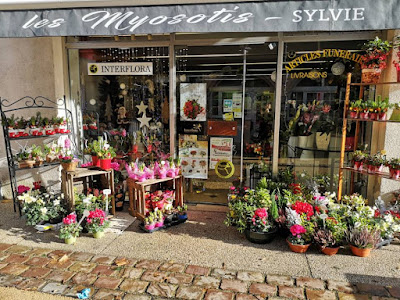 les myosotis à Seurre