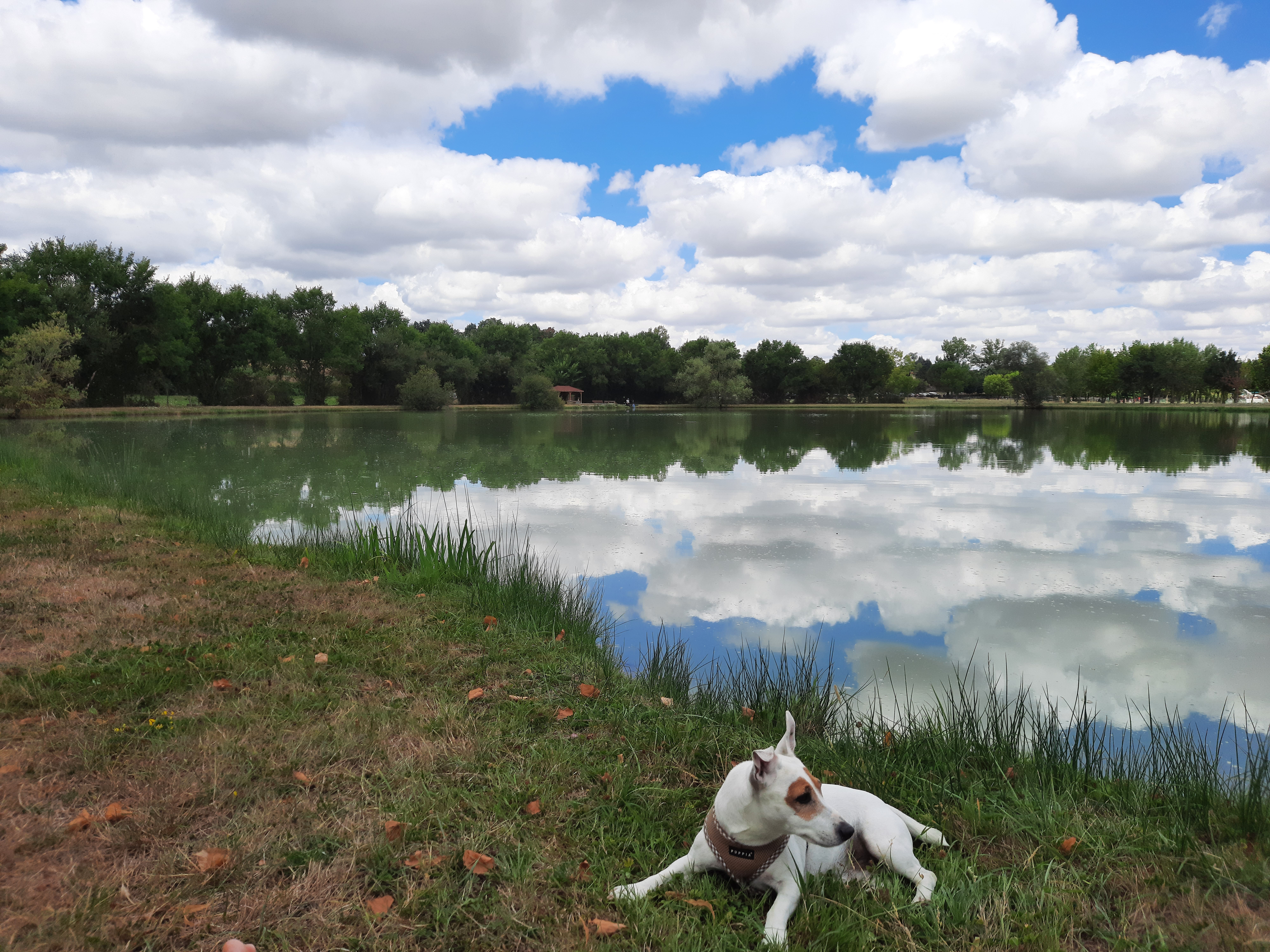 Photo n° 1 de l'avis de Alain.� fait le 31/07/2022 à 14:35