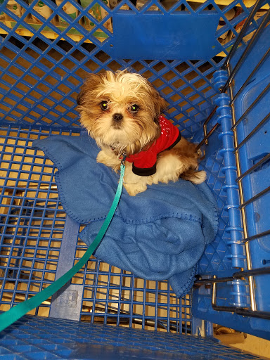 Pet Supply Store «PetSmart», reviews and photos, 5900 Carlisle Pike, Mechanicsburg, PA 17050, USA