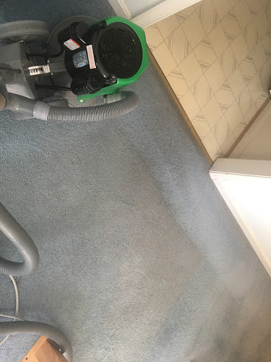 Carpet Cleaning Service «Allegiance Chem-Dry», reviews and photos, 528 Pleasants Dr, Fredericksburg, VA 22407, USA