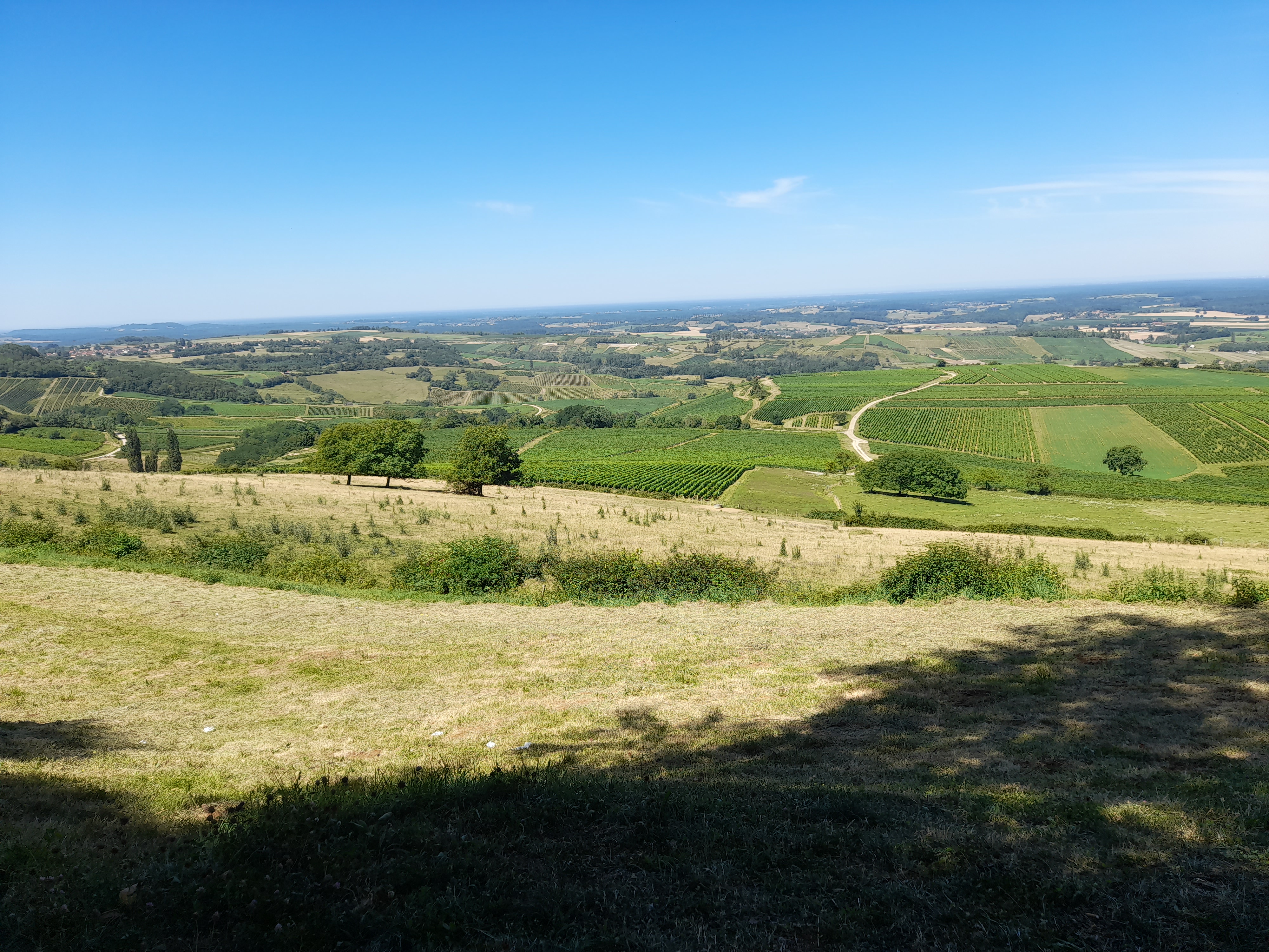Photo n° 2 de l'avis de jacques.r fait le 18/07/2022 à 16:20