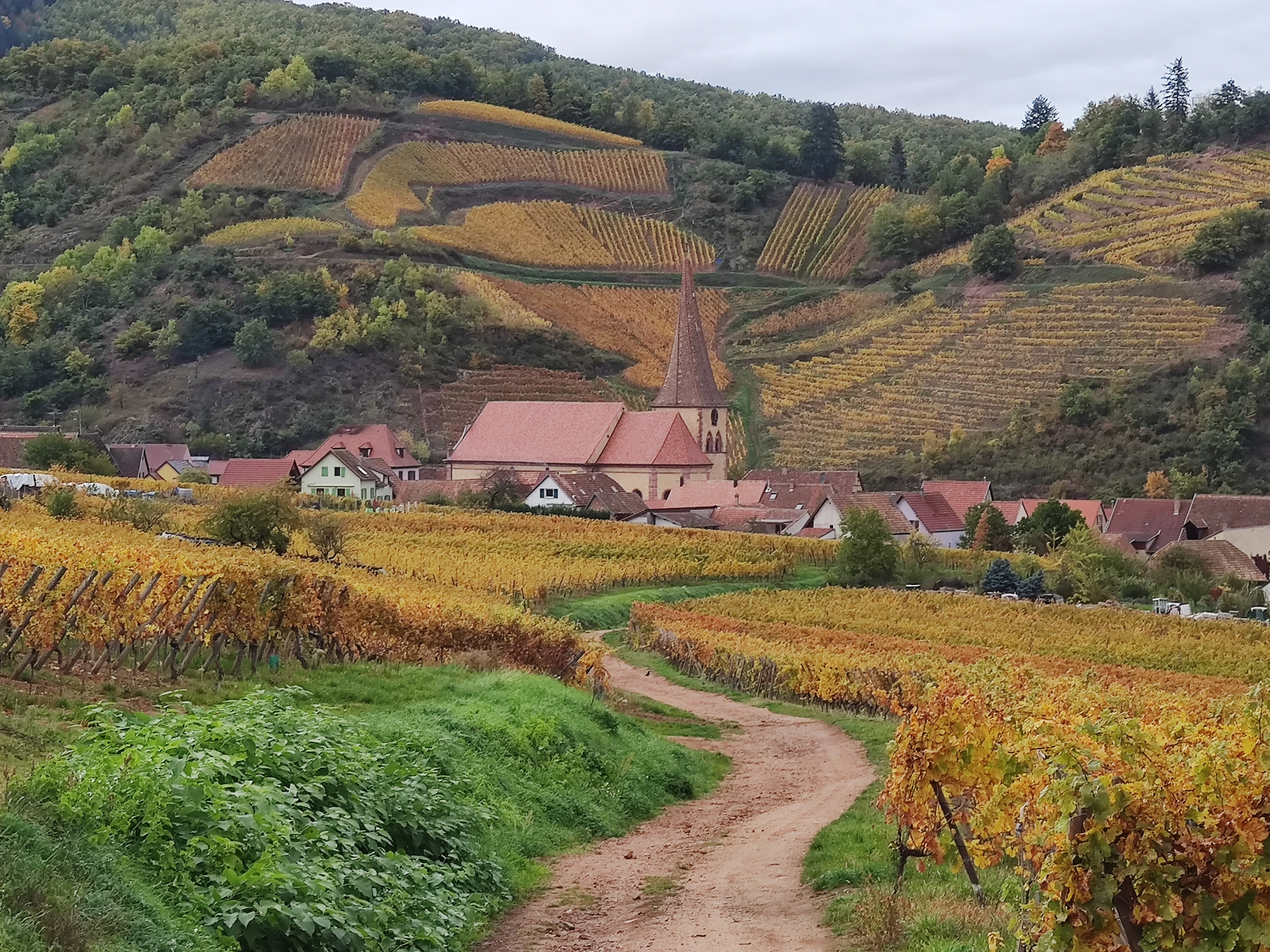 Photo n° 2 de l'avis de Françoise.A fait le 15/10/2022 à 20:48