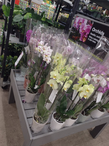 Home Improvement Store «The Home Depot», reviews and photos, 8211 Macedonia Commons Blvd, Macedonia, OH 44056, USA