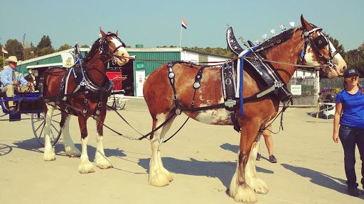 Fairground «The Evergreen State Fairgrounds», reviews and photos, 14405 179th Ave SE, Monroe, WA 98272, USA