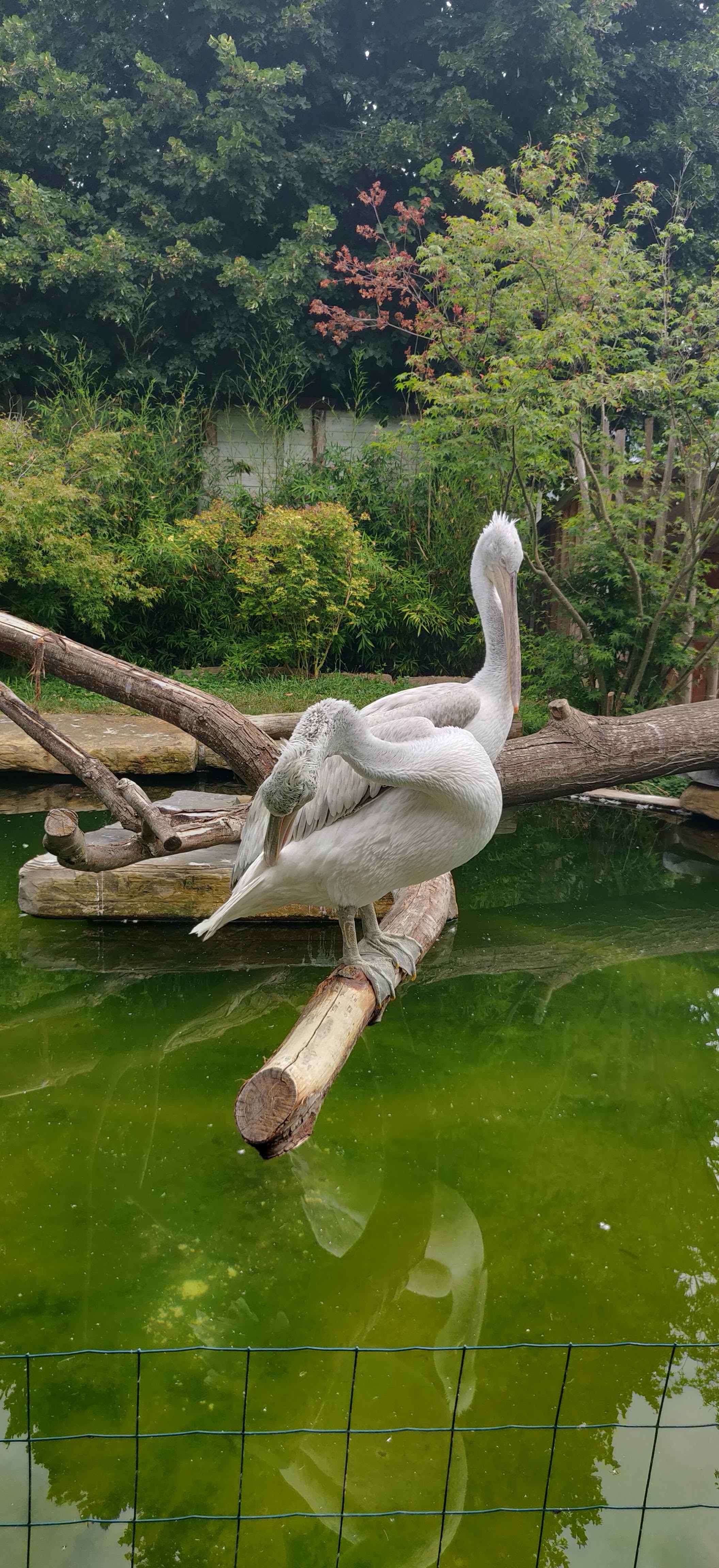 Photo n° 24 de l'avis de Frédéric.o fait le 15/11/2022 à 09:50
