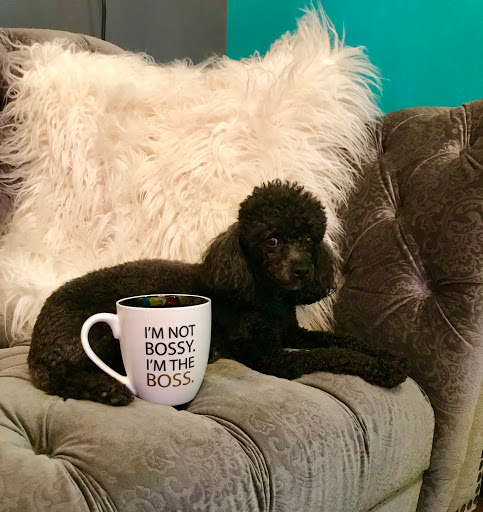 Hair Salon «Hair Razors», reviews and photos, 509 E Maxwell St, Lexington, KY 40502, USA