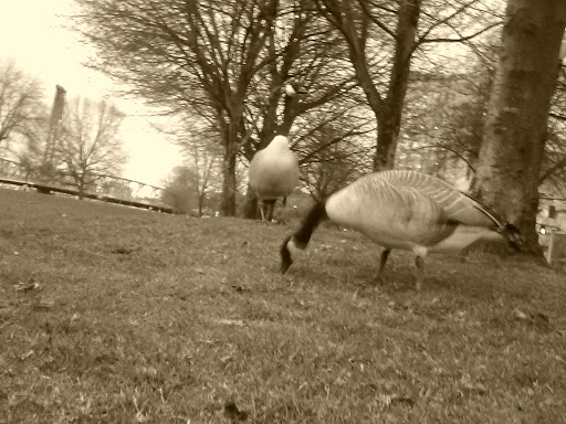 Park «Mill Ends Park», reviews and photos, 56 SW Taylor St, Portland, OR 97204, USA