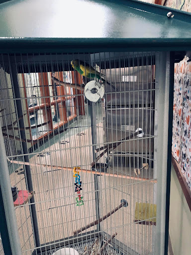 Friends of Upland Animal Shelter image