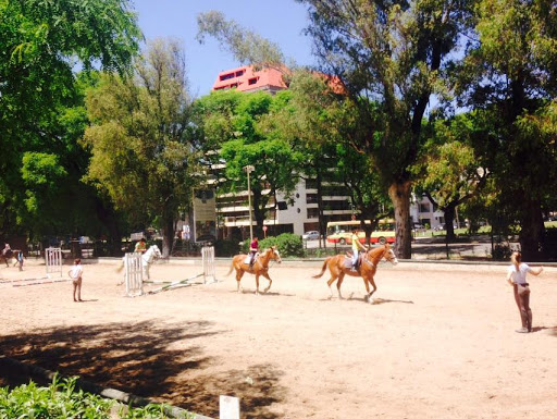Escuela Argentina de Equitación