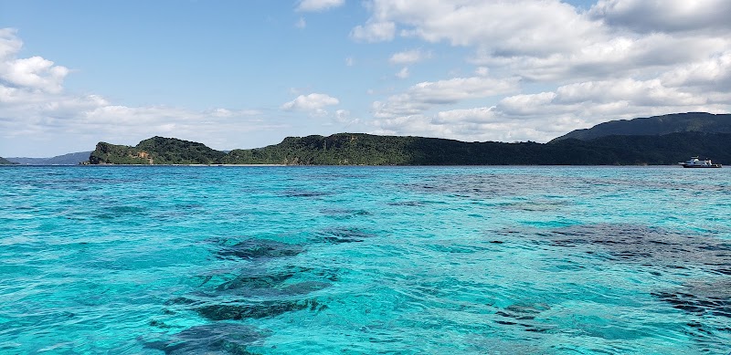 網取港