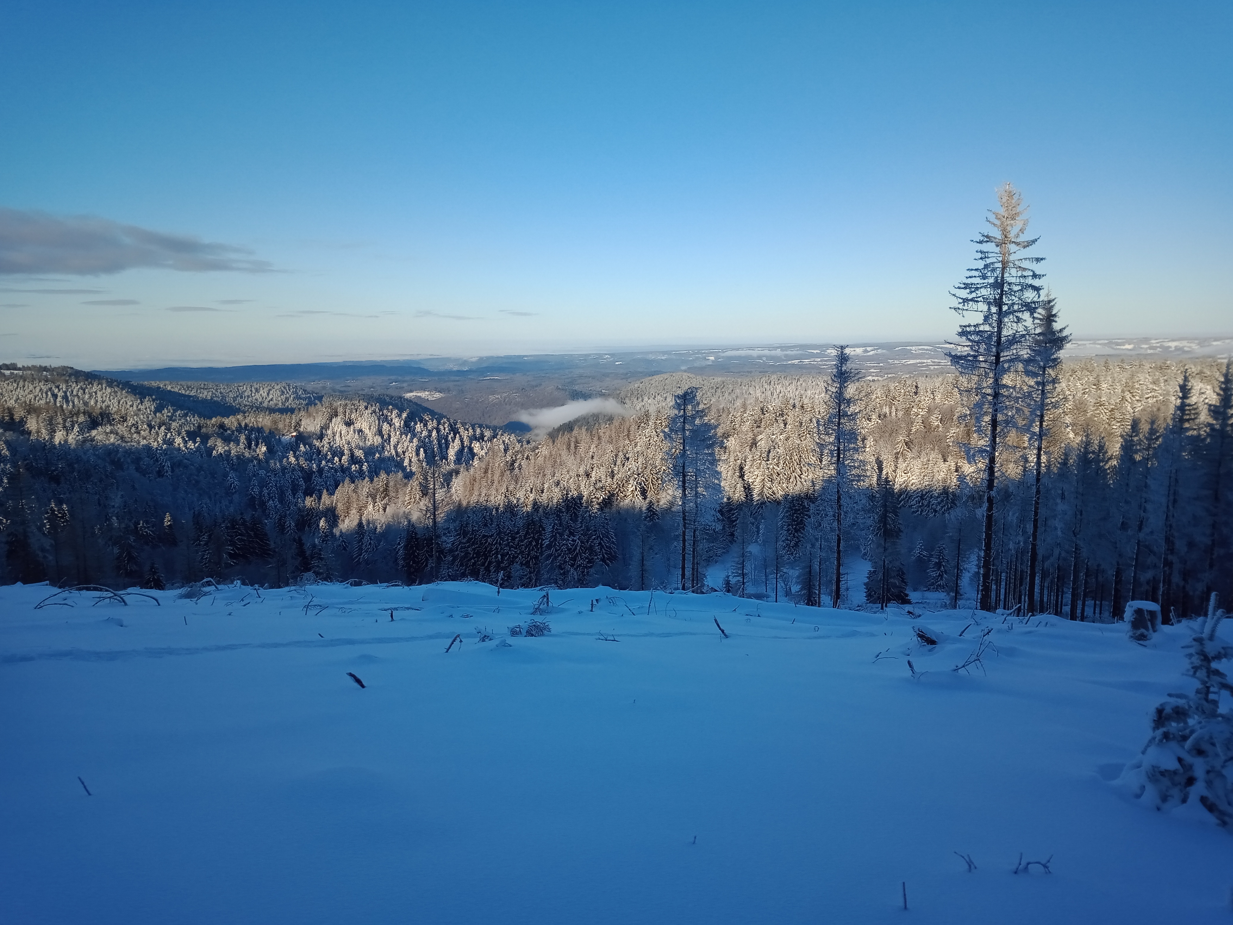 Photo n° 2 de l'avis de Mathilde.e fait le 10/01/2022 à 11:15